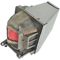 ACER ANX2106 Lampe mit Modul