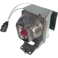 ACER BS-520 Lampe mit Modul