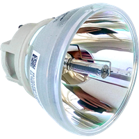 ACER DX527i Lampe ohne Modul