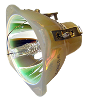 BENQ MP611c Lampe ohne Modul