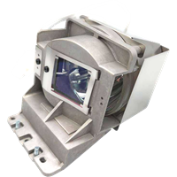 BENQ W2710 Lampe mit Modul