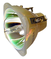 PHILIPS Ersatzlampe für BENQ W5000 5J.05Q01.001 