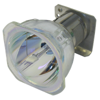 EIKI AH-66271 Lampe ohne Modul