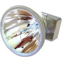 EPSON PowerLite 8300NL Lampe ohne Modul