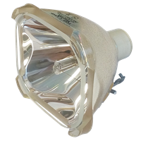 FUJITSU LPF-4902 Lampe ohne Modul