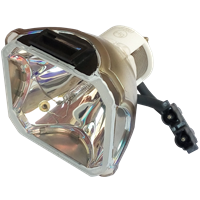 INFOCUS C460 Lampe ohne Modul