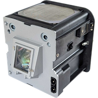 INFOCUS SP-LAMP-020 Lampe mit Modul