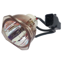 NEC LT170 Lampe ohne Modul