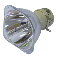 NEC NP-V300WJD Lampe ohne Modul