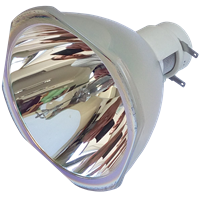 NEC P502WG Lampe ohne Modul