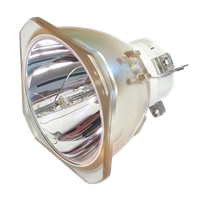 NEC PA571W Lampe ohne Modul
