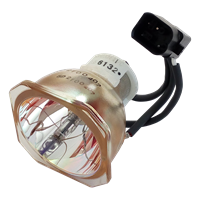 NEC WT61LP (50030764) Lampe ohne Modul