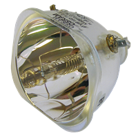 OPTOMA BL-FP156A (SP.82F01.001) Lampe ohne Modul