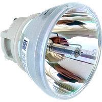 OPTOMA DEAHHGLe Lampe ohne Modul