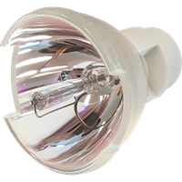 OPTOMA EH505e-B Lampe ohne Modul
