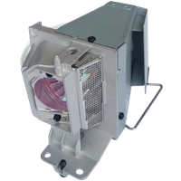 OPTOMA SP.7DQR1GR01 (BL-FP195E ) Lampe mit Modul