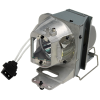 OPTOMA VDUHDSZ Lampe mit Modul