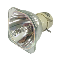 OPTOMA X341 Lampe ohne Modul