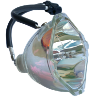 Alda PQ-Premium Ersatzlampe für PANASONIC PT-DZ570E Projektoren Beamerlampe Lampe mit Gehäuse