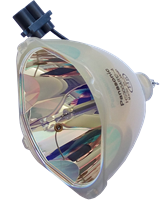 PANASONIC PT-DW100 Lampe ohne Modul