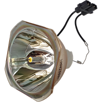 PANASONIC PT-DW11E Lampe ohne Modul