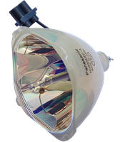 PANASONIC PT-DW740ELS Lampe ohne Modul