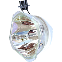 PANASONIC PT-DW750WU Lampe ohne Modul