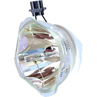 PANASONIC PT-DZ780 Lampe ohne Modul