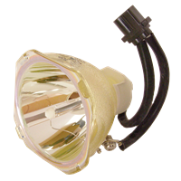 PANASONIC PT-LB80NTA Lampe ohne Modul