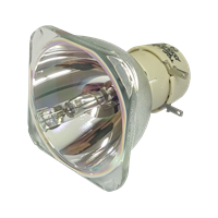 PHILIPS-UHP 190/160W 0.8 E20.9 IC Lampe ohne Modul