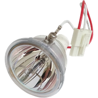 PHOENIX SHP91 Lampe ohne Modul