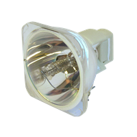 SANYO PLC-XWU30 Lampe ohne Modul