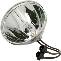 SANYO POA-LMP76A Lampe ohne Modul