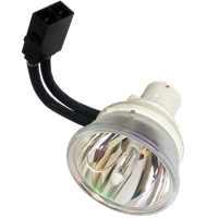 SHARP PG-F150X Lampe ohne Modul