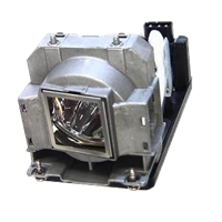 TOSHIBA TDP-T355 Lampe mit Modul