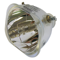 VIEWSONIC RLC-009 Lampe ohne Modul