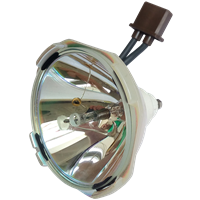 VIEWSONIC RLC-150-002 Lampe ohne Modul