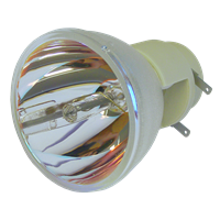 VIVITEK D557WT Lampe ohne Modul