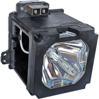 YAMAHA DPX 1000 Lampe mit Modul